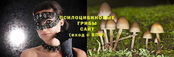 дурь Абдулино