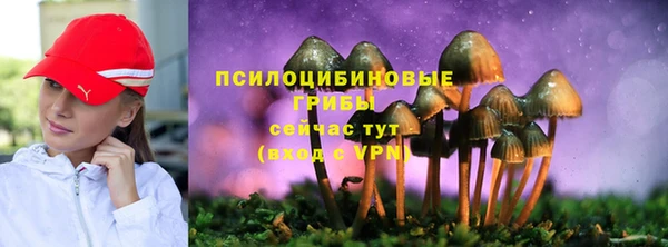дмт Алексин