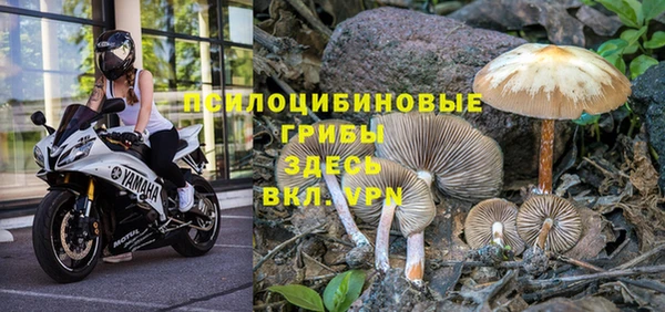 сатива Покров