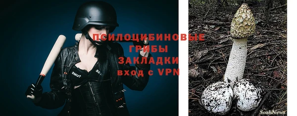 дмт Алексин