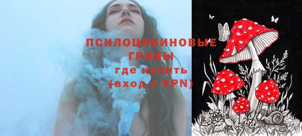 дурь Алзамай